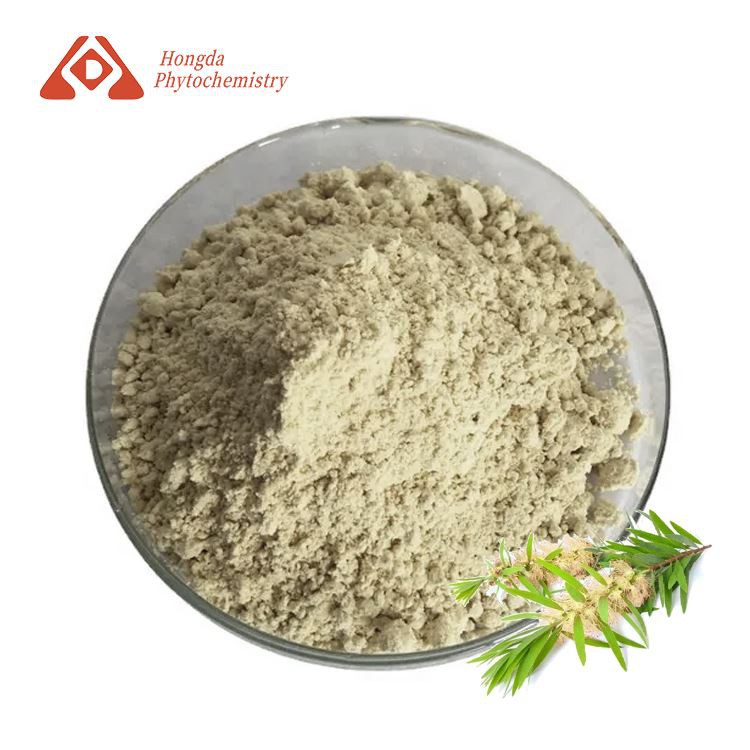 Ekstrakt melaleuca v prahu